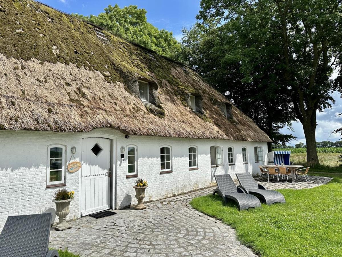 Ehemaliges Rio Reiser Haus Stadum 외부 사진